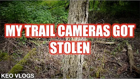 My Trail Cameras Got Stolen...