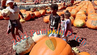 Pumpkin Patch 2021 (Burts Farm)