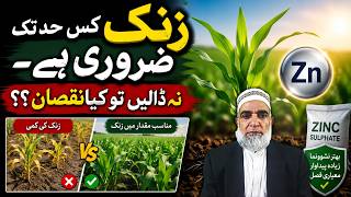 Zinc and Crop Growth: Essential Information for Farmers || Crop Reformer screenshot 4