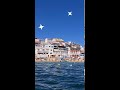 TYPICAL Carvoeiro Beach Algarve Portugal Praia de Carvoeiro Portugal #Shorts