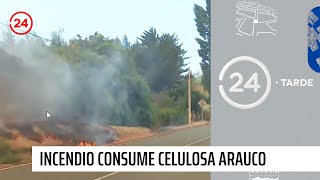 Estado de catástrofe en Ñuble y Biobío | 24 Horas TVN Chile