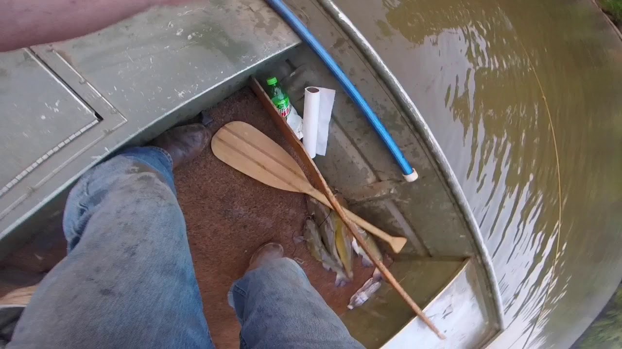 Fishing The Broad River GA. YouTube