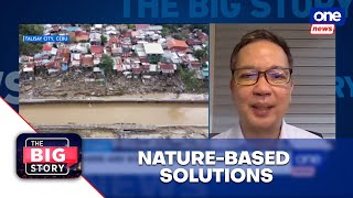 DENR Usec. David promotes nature-based solutions to curb flooding