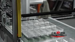 DABA DB-70/80 Pet Box Disposable-plate Making Machine Cheap Price-in-pak Machine for Making Box