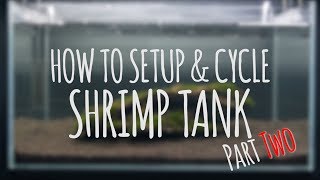 How To Setup & Cycle Shrimp Tank Part 2