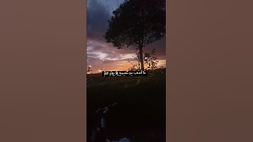 قرآن كريم (الآية ١١ من سورة التغابن )