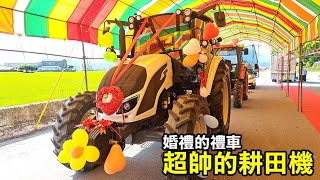 【務農夫婦】第279篇【青年農民結婚用耕田機當禮車!!】