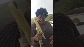 Mushonga weku tester