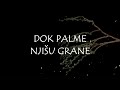 Dubrovaki trubaduri  dok palme njiu grane official lyric