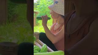 The road ahead is still difficult,live with nature