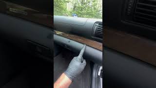 Snake Discovery in Car's Glove Box