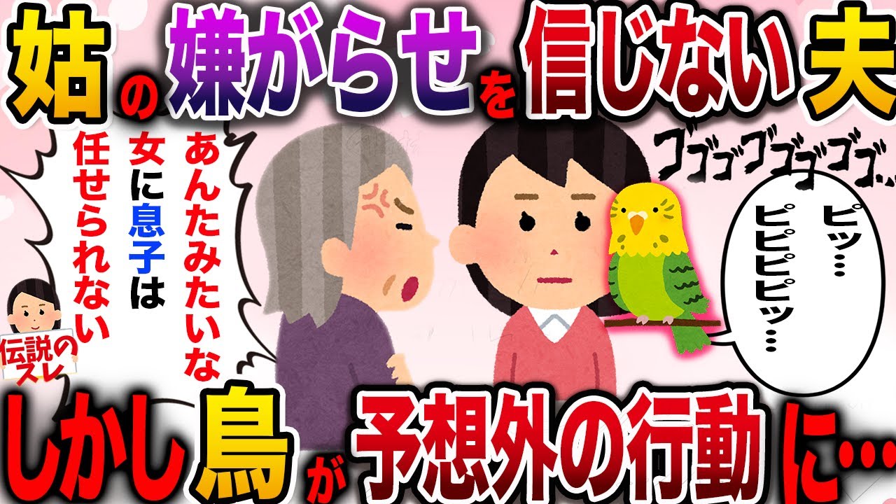 【面白いスレ】姑から救ってくれたのは一匹のインコだった【伝説のスレ】