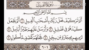 سورة الفيل _الشيخ ياسر الدوسري