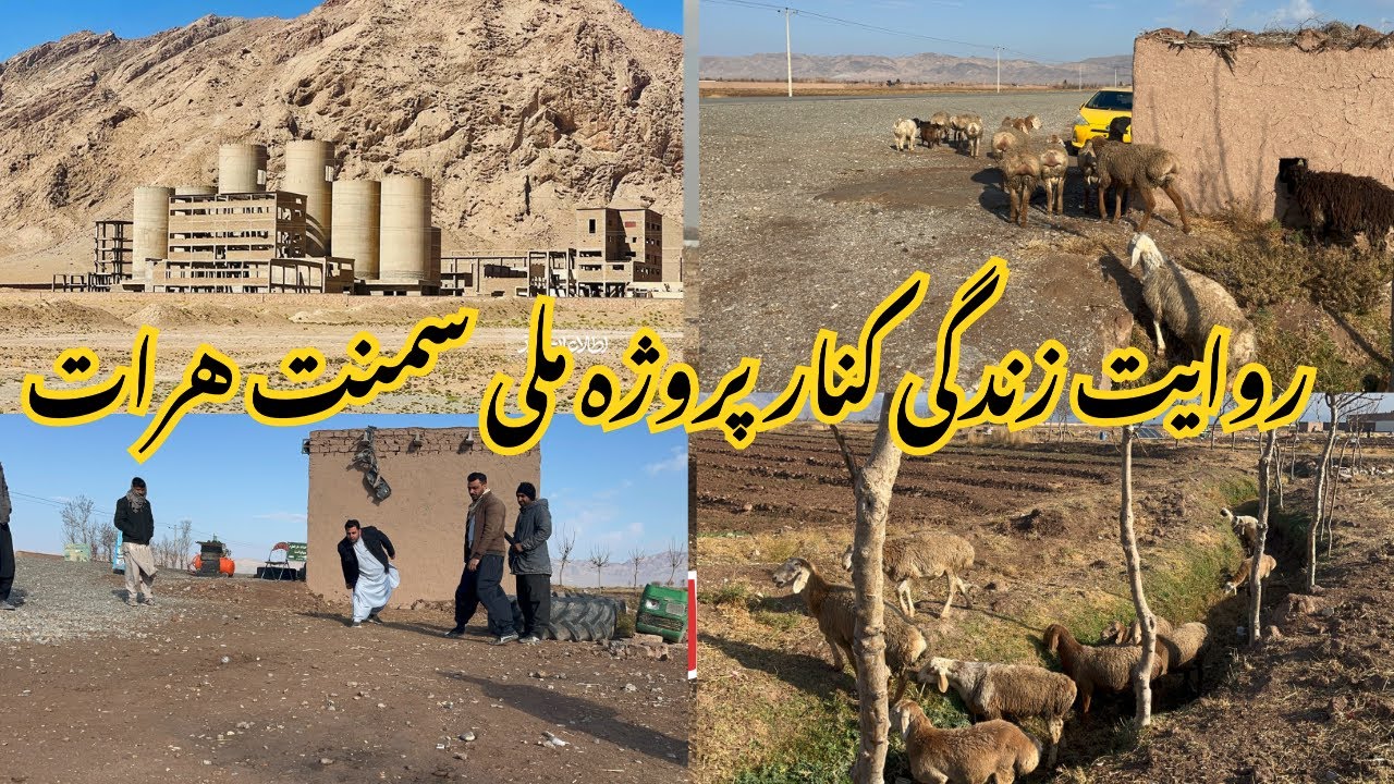 جایی که صنعت و زندگی به هم می‌رسدقریجات کنار پروژه سمنت هرات 