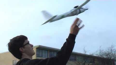 Mini Swift Flight on a Windy Day