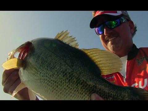 Bass Fishing at Clear Lake with Jimmy Reese - YouTube