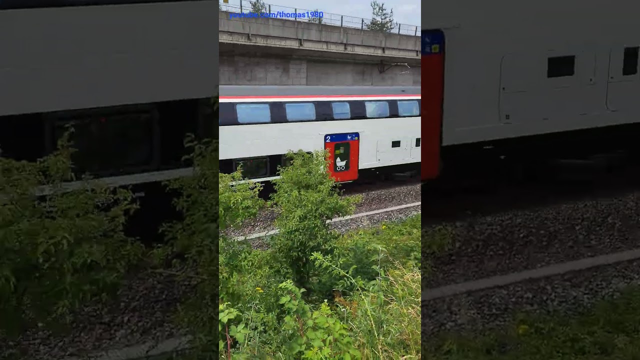 SBB IC2000 bei Spreitenbach / Kanton Aargau / Schweiz 2023 / #shorts
