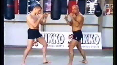 Bas Rutten Superior Free Fight Techniques   Vol 1   Basic, Stances, Footwork, Conditioning