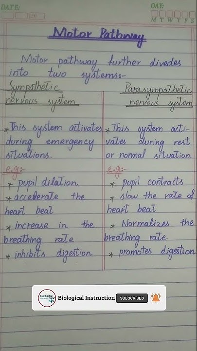 Class 10t | Biology | Chapter 3rd | Peripheral nervous system ...