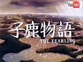 The Yearling kojika monogatari Opening 2