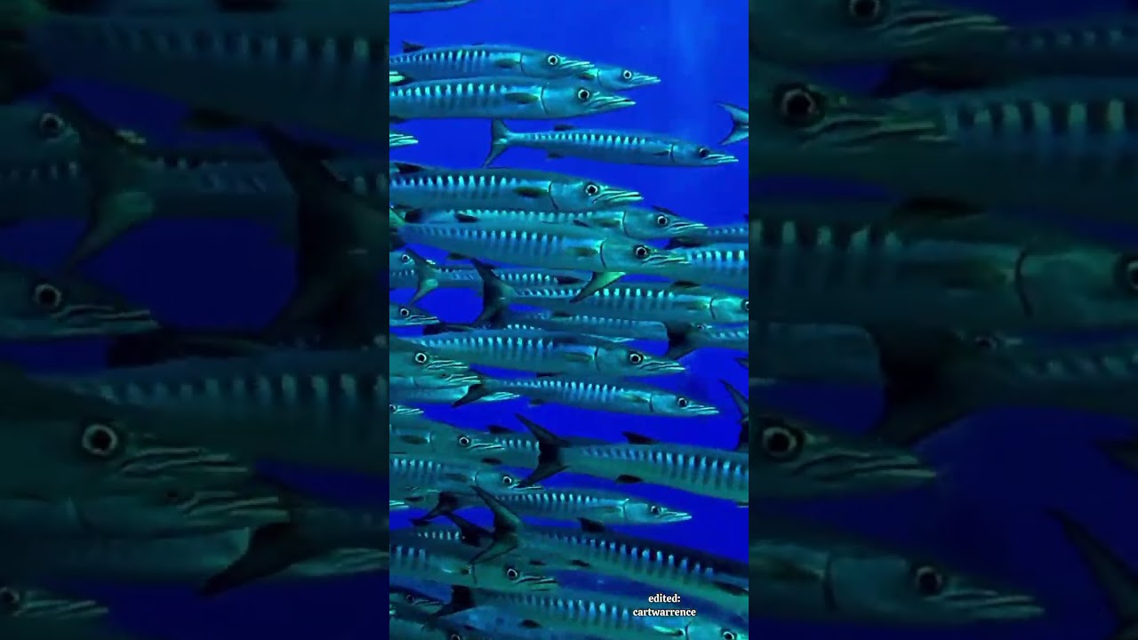 Paradise at sibaltan El Nido Palawan ☺