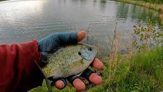 Does a Cold Front Hurt the Bluegill Spawn Bite?