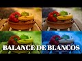 BALANCE DE BLANCOS TODO LO QUE NECESITAS SABER | COMO CONFIGURAR EN CANON & SONY | SPYDERCHECKR