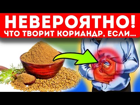 Хорошо что Врачи раскрыли! Кориандр (кинза) способствует быстрому излечению 17 болезней