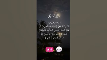#سورة الفيل #قرآن #قران_كريم #viralshort #viral #quran #viralvideo #islamic #تلاوات #الله