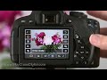 Introduction to the Canon Rebel T5i/ 700D: Basic Controls