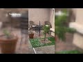October storm brings hail to Laveen