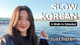 If You’re a BEGINNER, WATCH THIS! | Comprehensible Korean Input – A Walk in Istanbul
