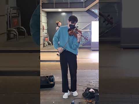 2024/4/15 #失望值滿 #盧盧快閉嘴 #linfranz  #violinist #林世豐 #小提琴演奏家