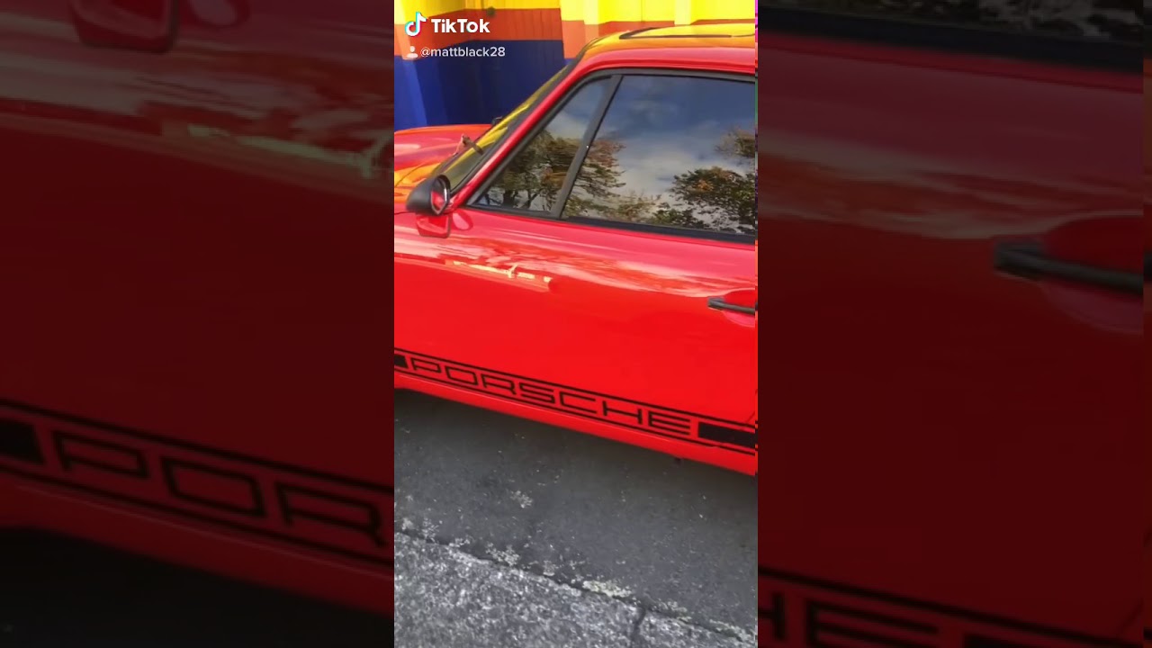 First day out of lockdown Nz