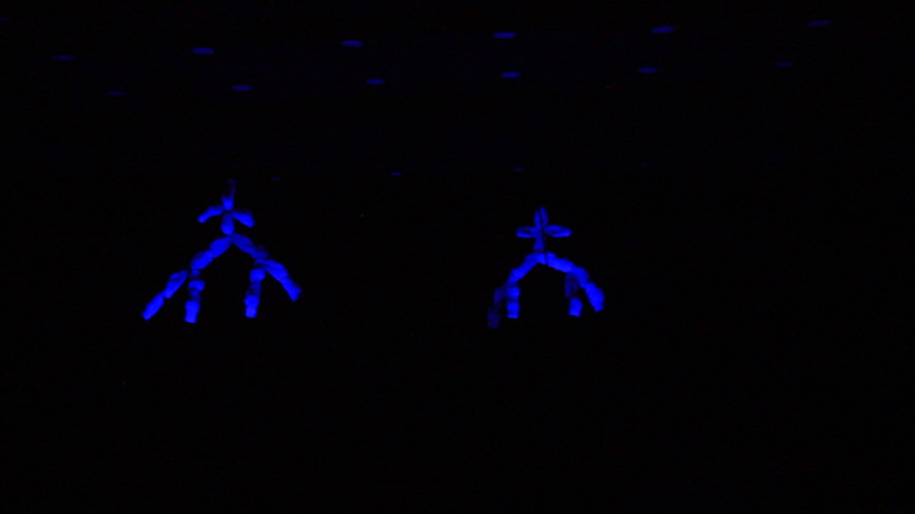 ترنيمة مسرح اسود احفظ بلادنا يارب كنيسة الانبا انطونيوس اطلس - حلوان