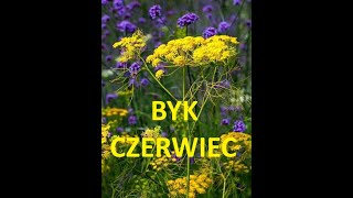 Tarot # BYK # CZERWIEC 2024