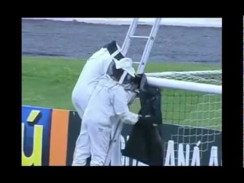 Un Essaim D Abeille Retarde Un Match Au Brésil 
