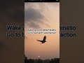 OWN THE MORNING 🌄| #motivation #morning #mindset #ytshorts #quotes