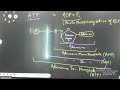 Photosynthesis L-04 | 26-05-26| Aman  Sir | Biology 12th B4 FTB  NEET VSA