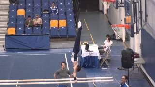 Optional Parallel Bars Routine Provincials 2014
