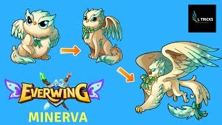 Everwing Dragon Evolutions - How To Make Minerva