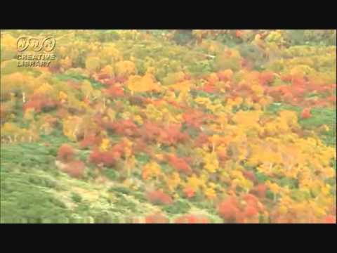 さだまさし　奇跡～大きな愛のように～　カラオケ　（ｂｙひろビッチ）
