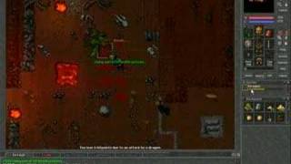 Tibia Harmonia Knight Solo Dragon Drag