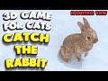 3D game for cats | CATCH THE RABBIT (isometric view) | 4K, 60 fps, stereo sound