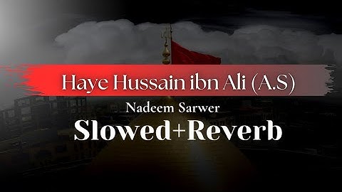 Haye Hussain ibn Ali (A.S) | Slowed & Reverb | Noha 2024 ShiaTherapy