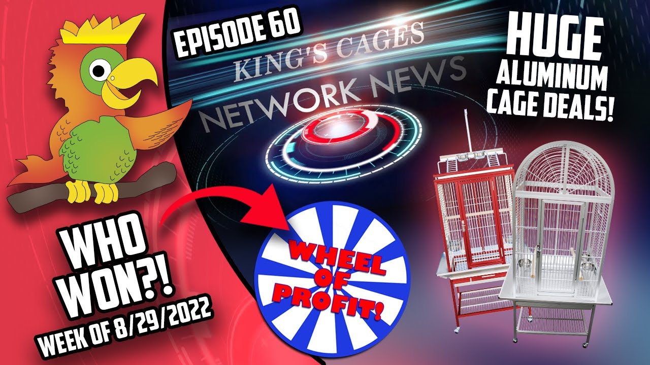 HUGE DEALS Aluminum Bird Cages King's Cages Network News YouTube