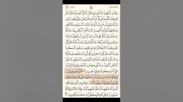 سورة المائدة كاملة مكتوبة - القارئ ياسر الدوسري - القرآن الكريم بصوت جميل