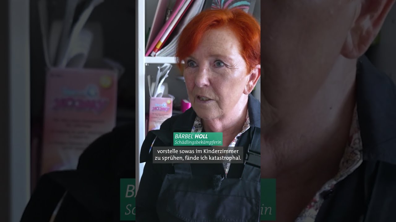 Silberfische & Papierfische vermeiden und bekämpfen: So geht´s! | Marktcheck SWR #shorts