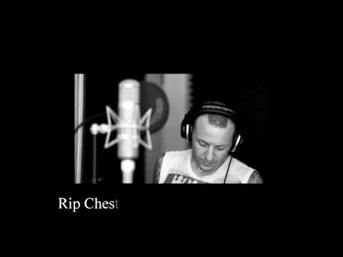 Lirik lagu l The Messenger | Linkin Park | terjemahan indonesia