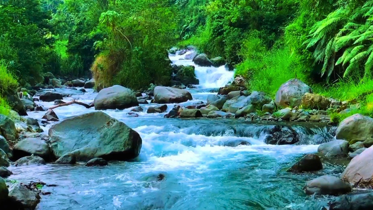 Peaceful Stream Sounds Pure Running Water For Focus and Sleep
